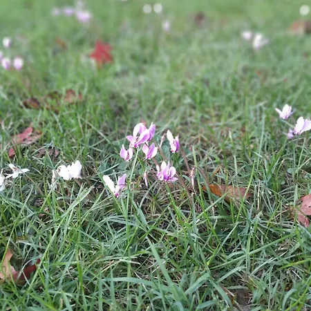 בית נופש La Maison Du Petit Messé