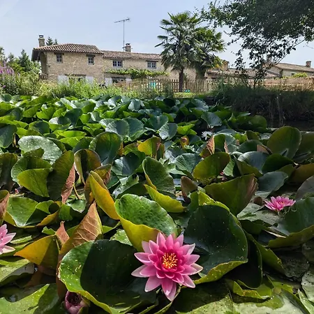 La Maison Du Petit Messé