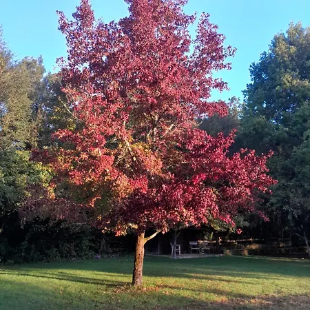 La Maison Du Petit * Messé