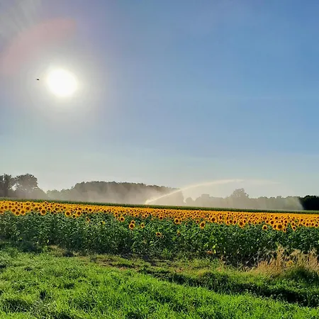 La Maison Du Petit בית נופש *